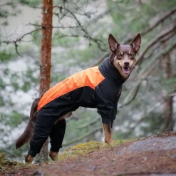 Heijastava koiran haalari Helsingborg>Feel Active