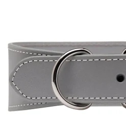 Heijastava panta>Collar of Sweden