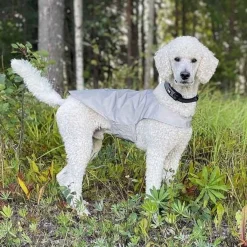 Heijastinliivi koiralle Brightly>Icepeak Pet Outlet