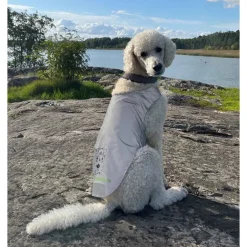 Heijastinliivi koiralle Brightly>Icepeak Pet Outlet