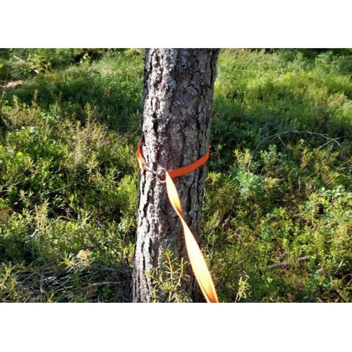 Heijastintalutin Iita,>Kardog Discount