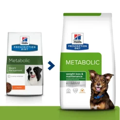 Hills Diet Dog Metabolic>Hill's Prescription Diet Best