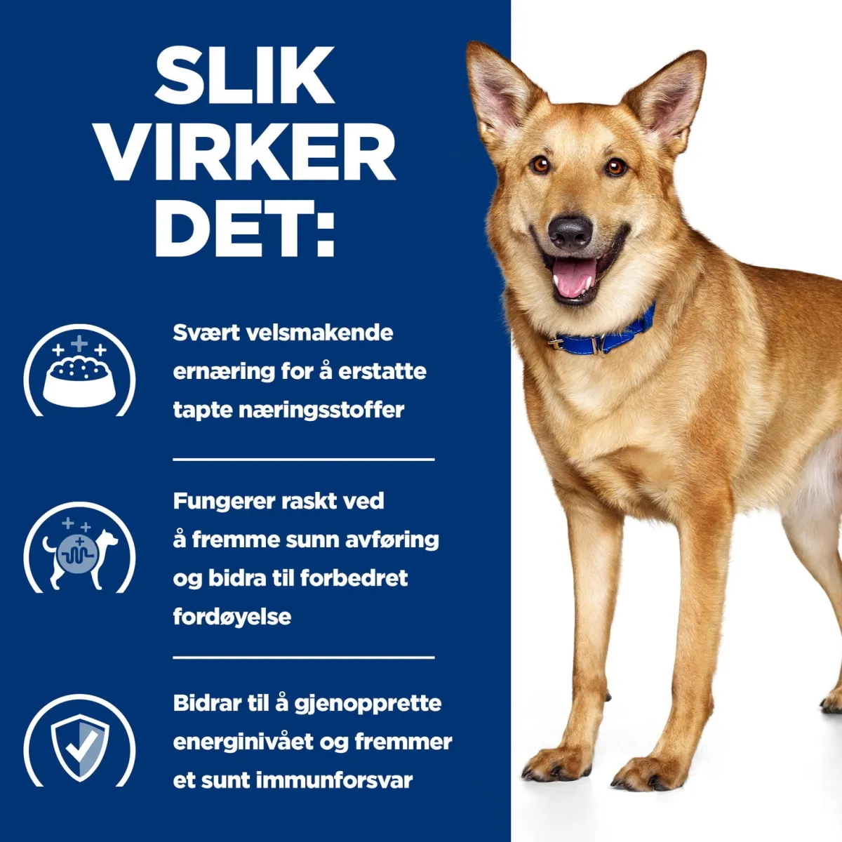 Canine i/d Digestive Care Chicken 2x12 kg>Hill's Prescription Diet Outlet