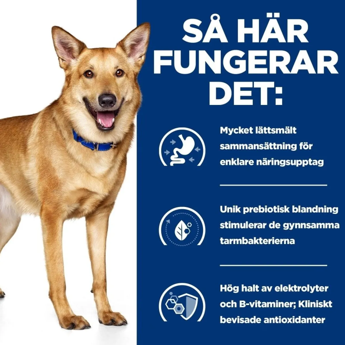 Canine i/d Digestive Care Chicken 2x12 kg>Hill's Prescription Diet Outlet