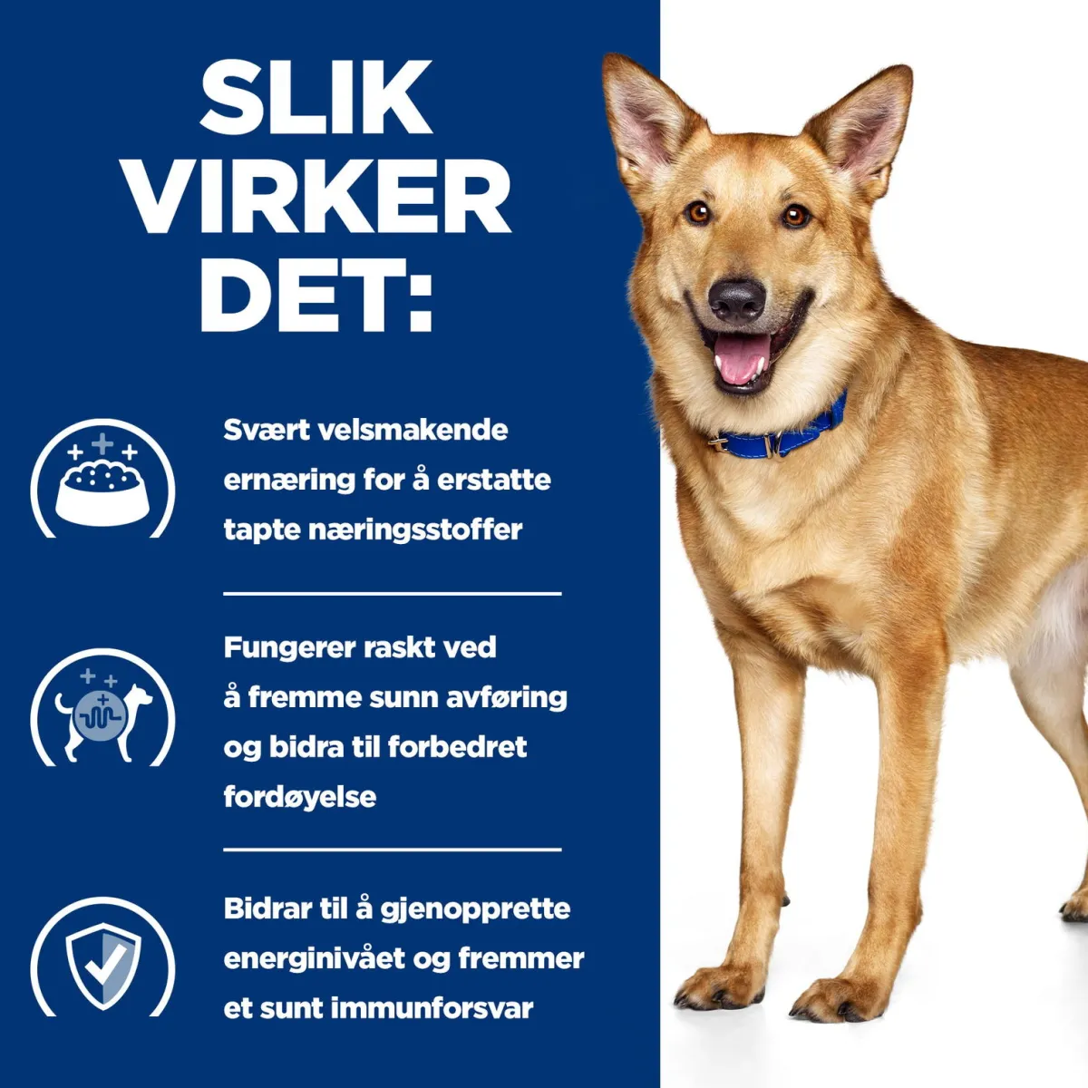 Canine i/d Digestive Care Chicken 2x12 kg>Hill's Prescription Diet Outlet