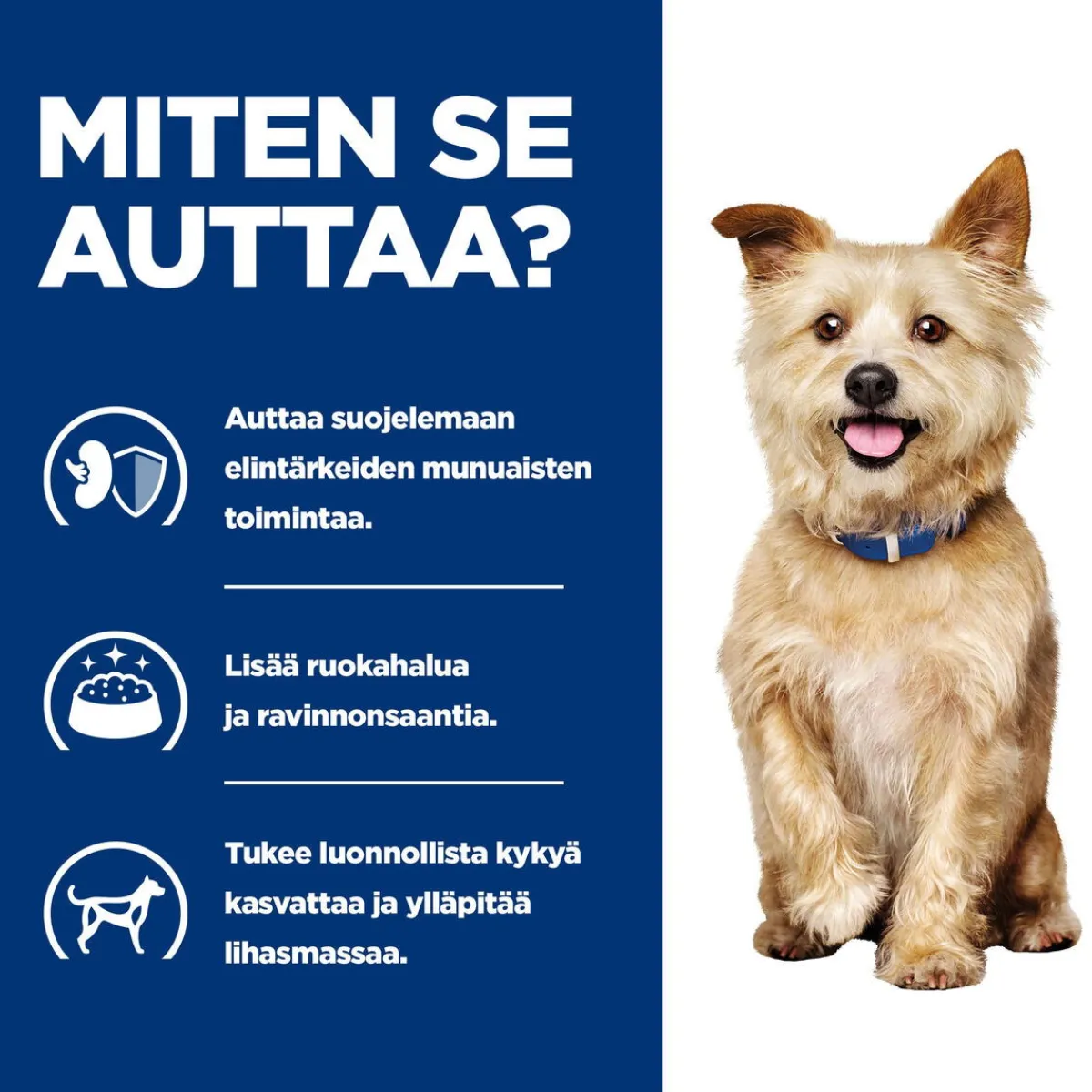Canine k/d Kidney Care Chicken 354 g>Hill's Prescription Diet