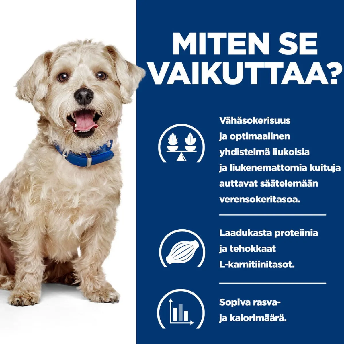 Canine Diabetes Care w/d 370 g>Hill's Prescription Diet Best