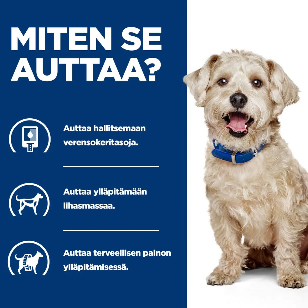 Canine Diabetes Care w/d 370 g>Hill's Prescription Diet Best