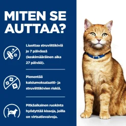 Feline c/d Multicare Minced Chicken 156 g>Hill's Prescription Diet Clearance