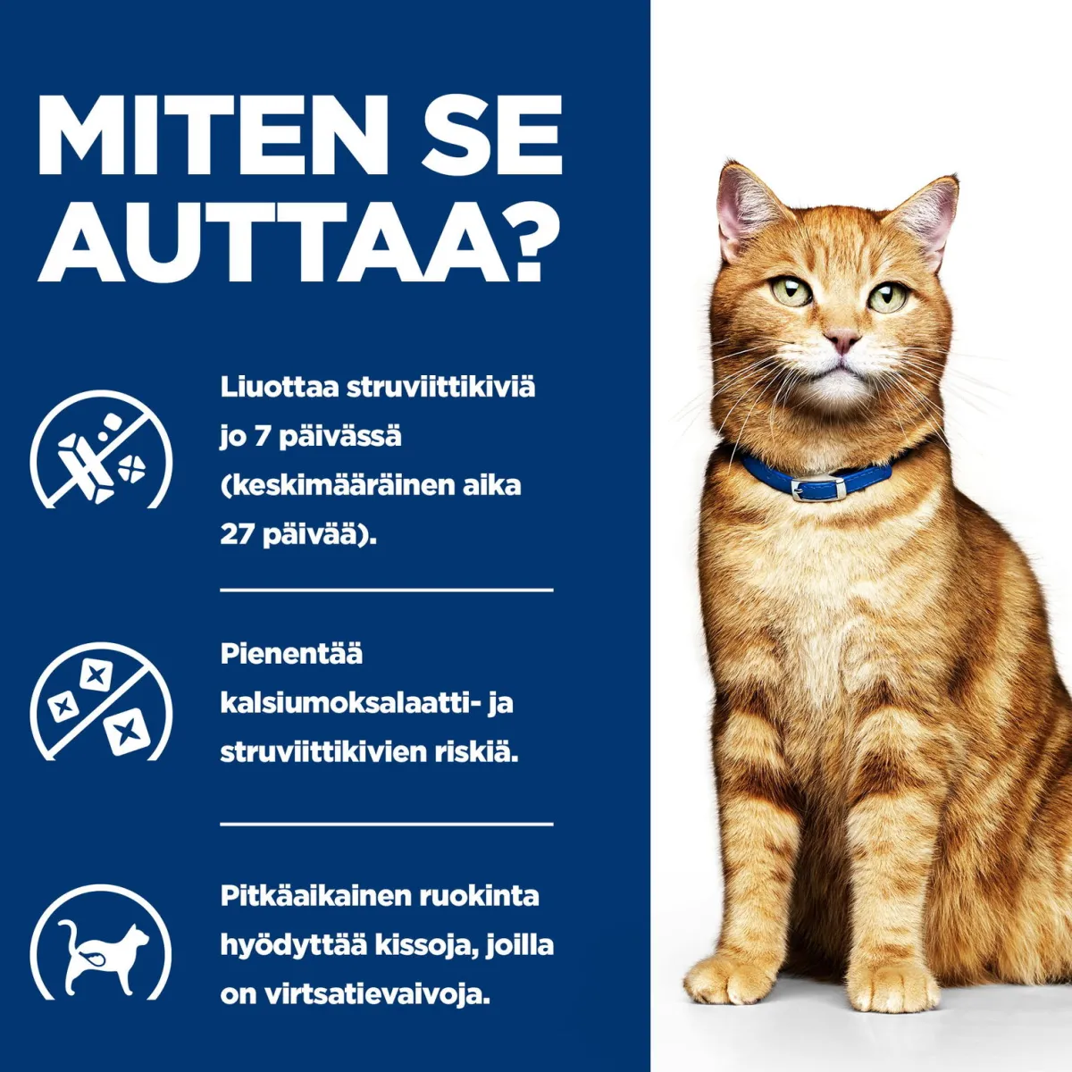 Feline c/d Multicare Minced Chicken 156 g>Hill's Prescription Diet Clearance