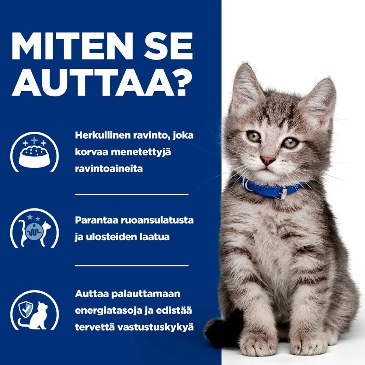 Kitten i/d>Hill's Prescription Diet