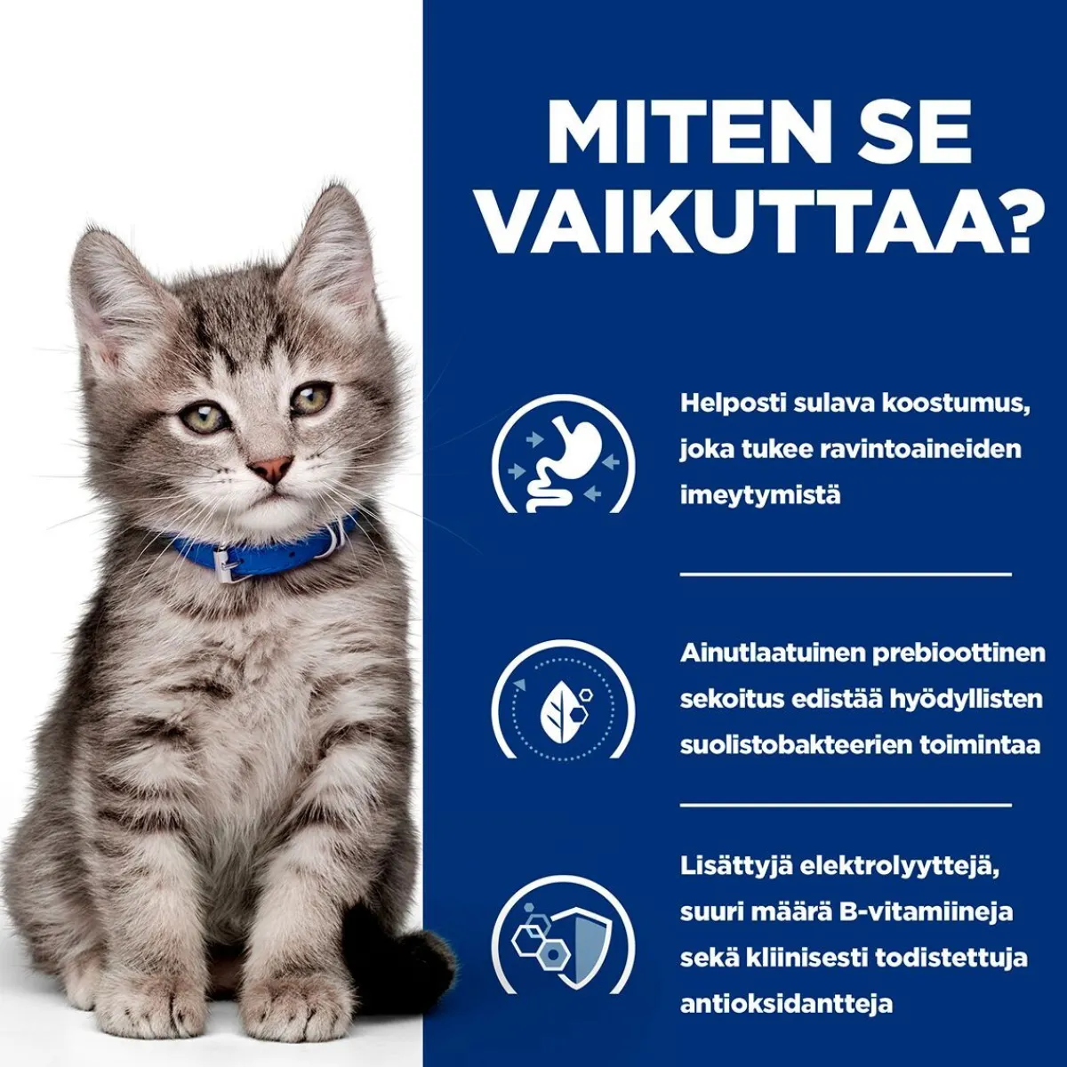 Kitten i/d>Hill's Prescription Diet