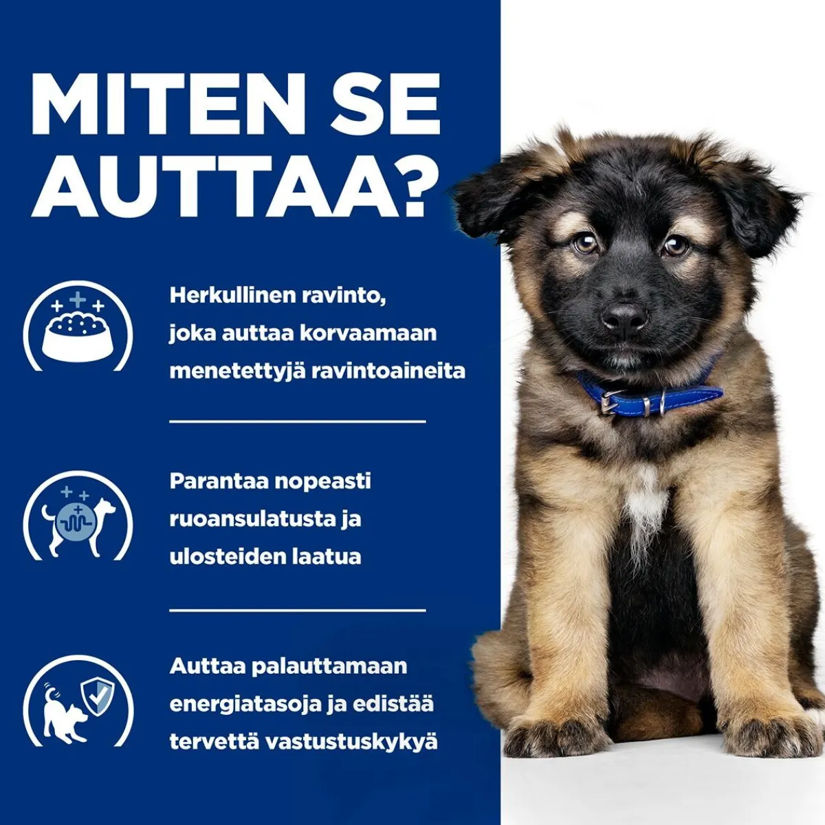 Puppy i/d>Hill's Prescription Diet