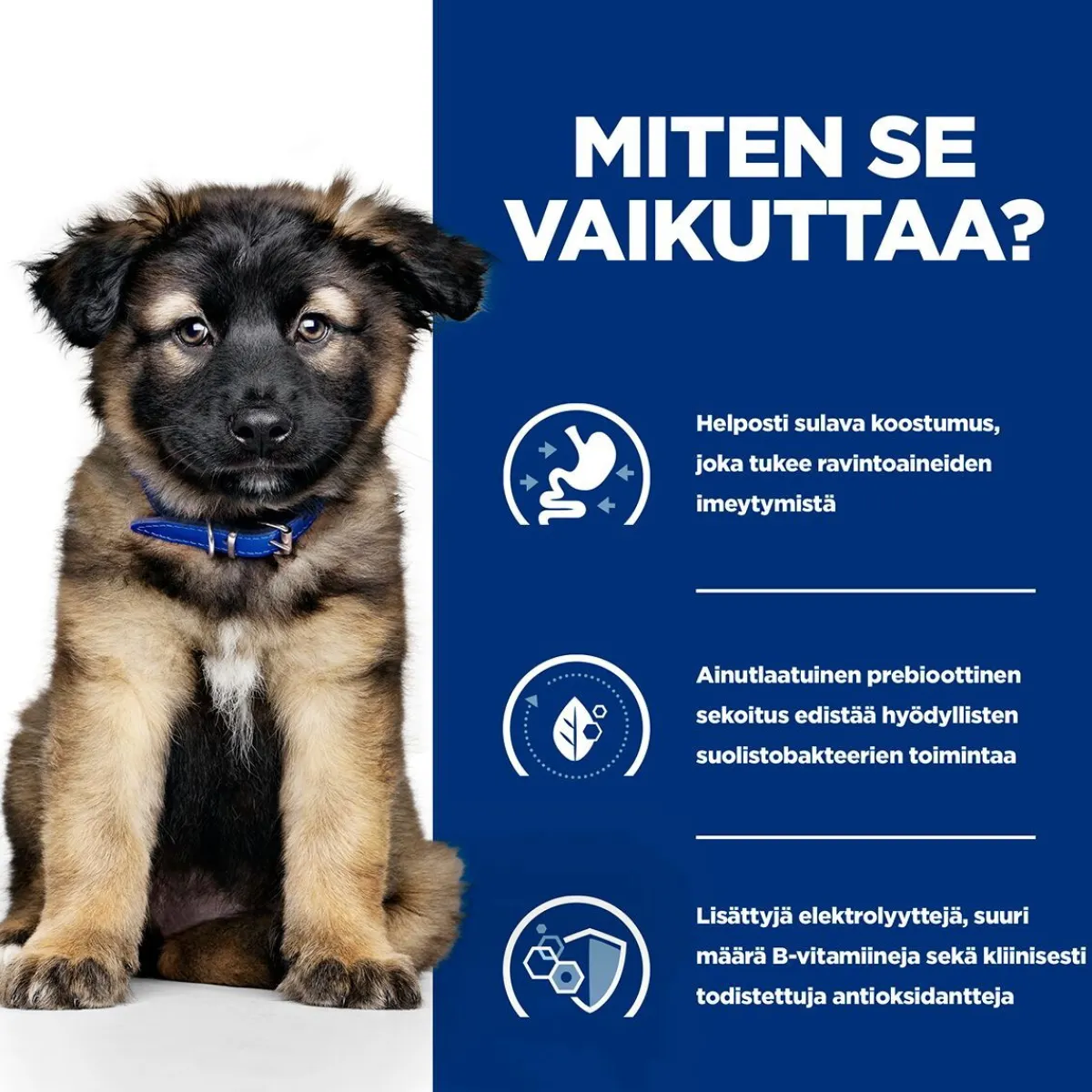 Puppy i/d wet>Hill's Prescription Diet Hot