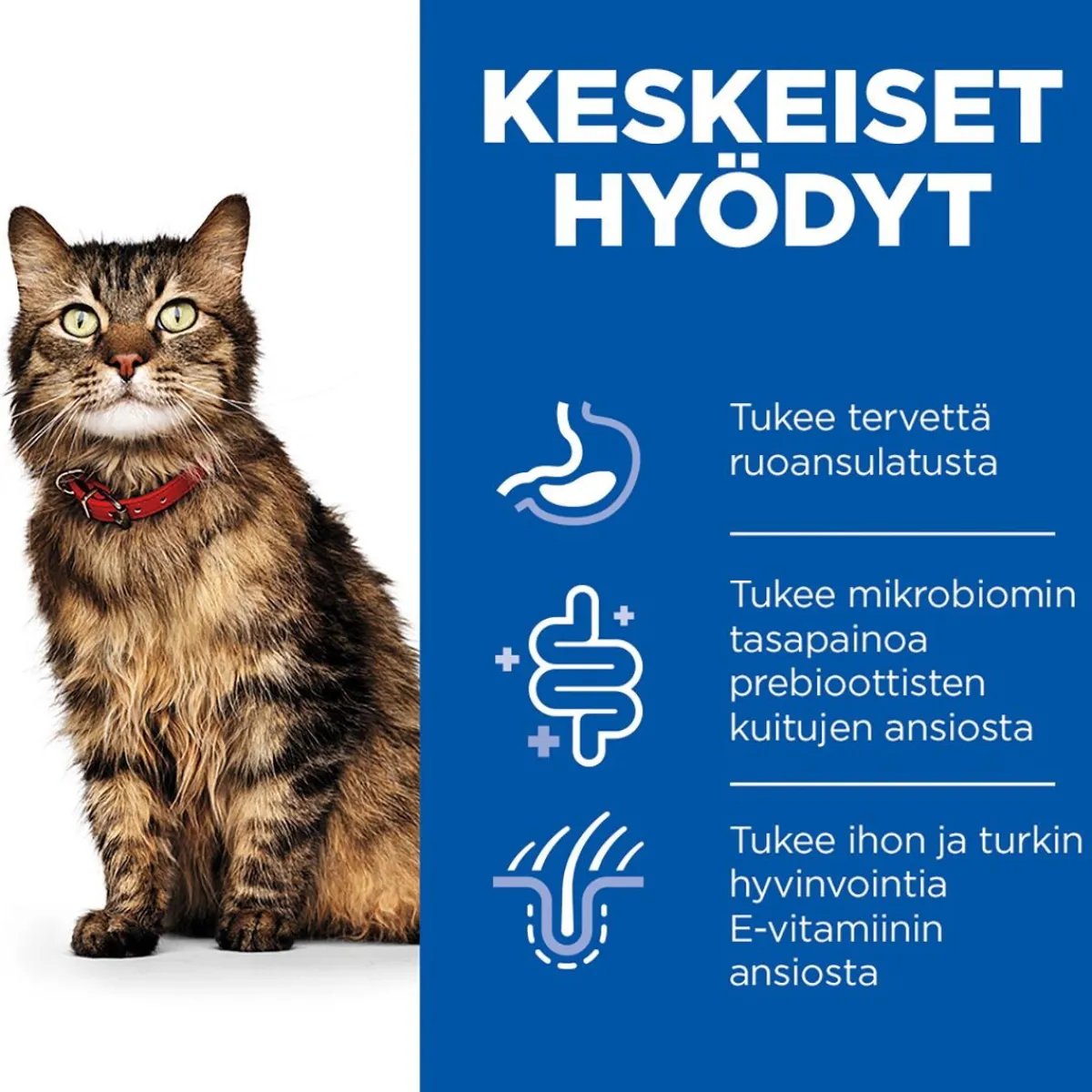 Science Plan Cat Adult Sensitive Stomach & Skin Turkey 12x85g>Hill's Sale