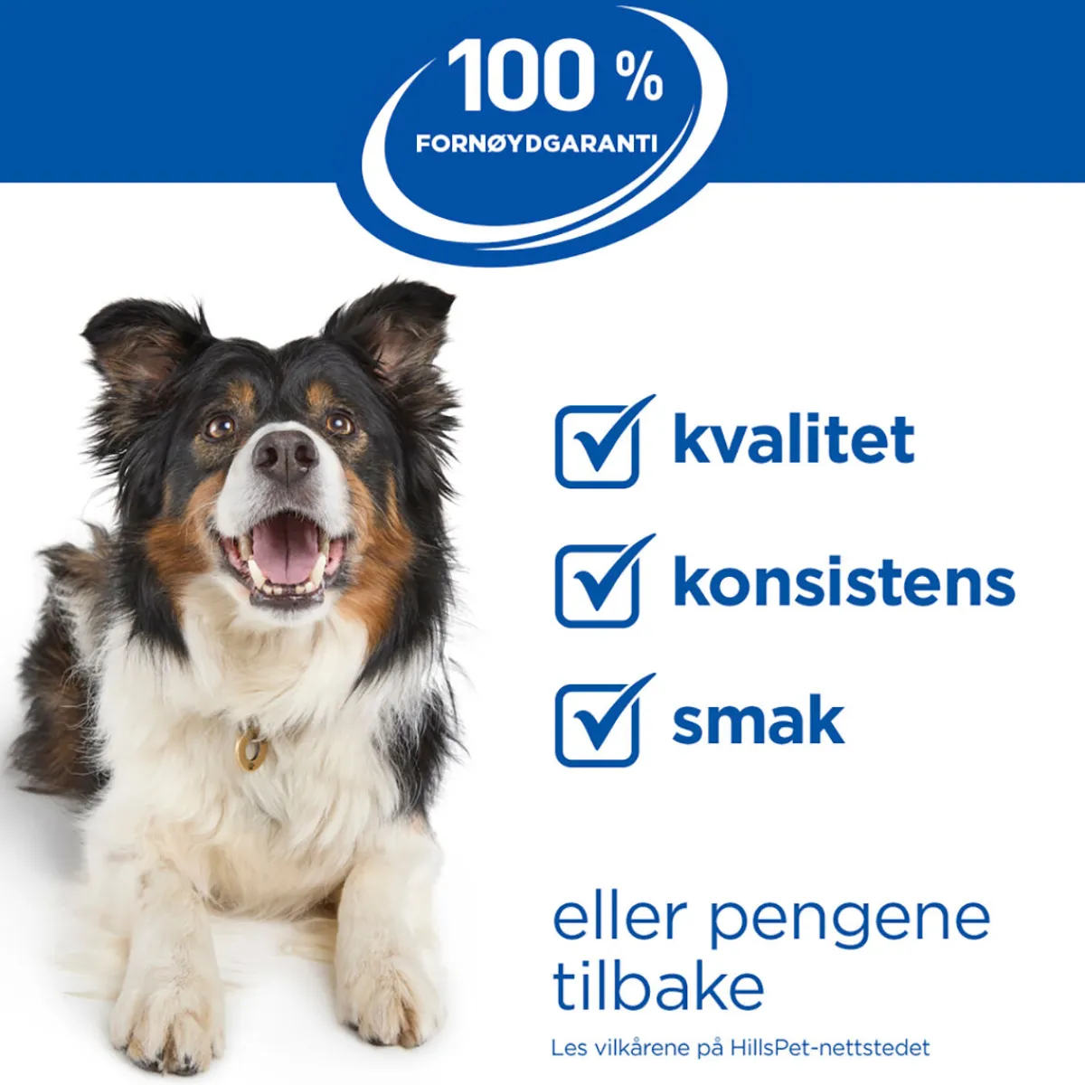 Science Plan Dog Hypoallergenic Salmon 363 g>Hill's