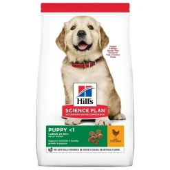 Science Plan Dog Puppy Large Breed>Hill's