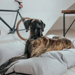 Dog Bed Lancaster Grey>Hunter Hot