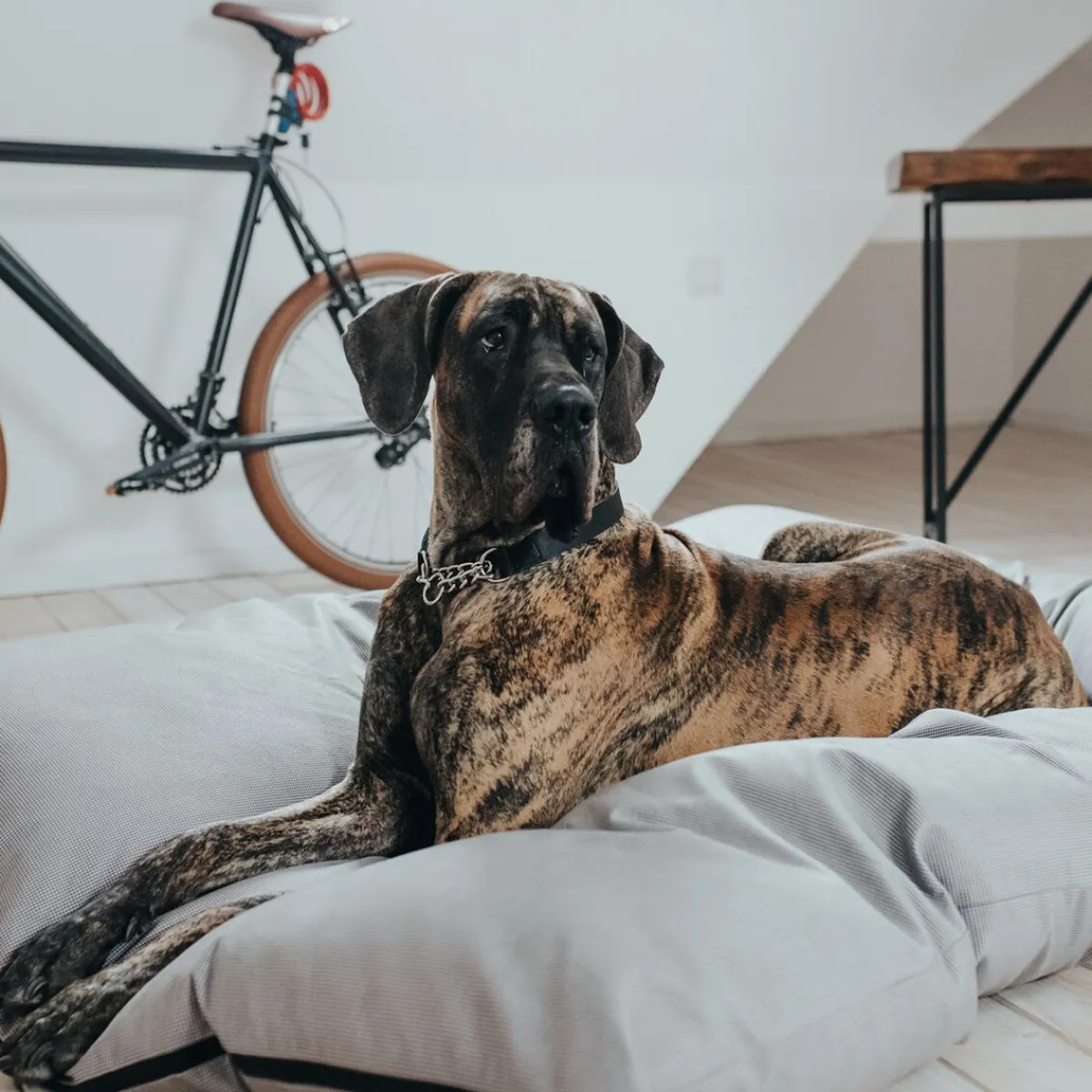 Dog Bed Lancaster Grey>Hunter Hot
