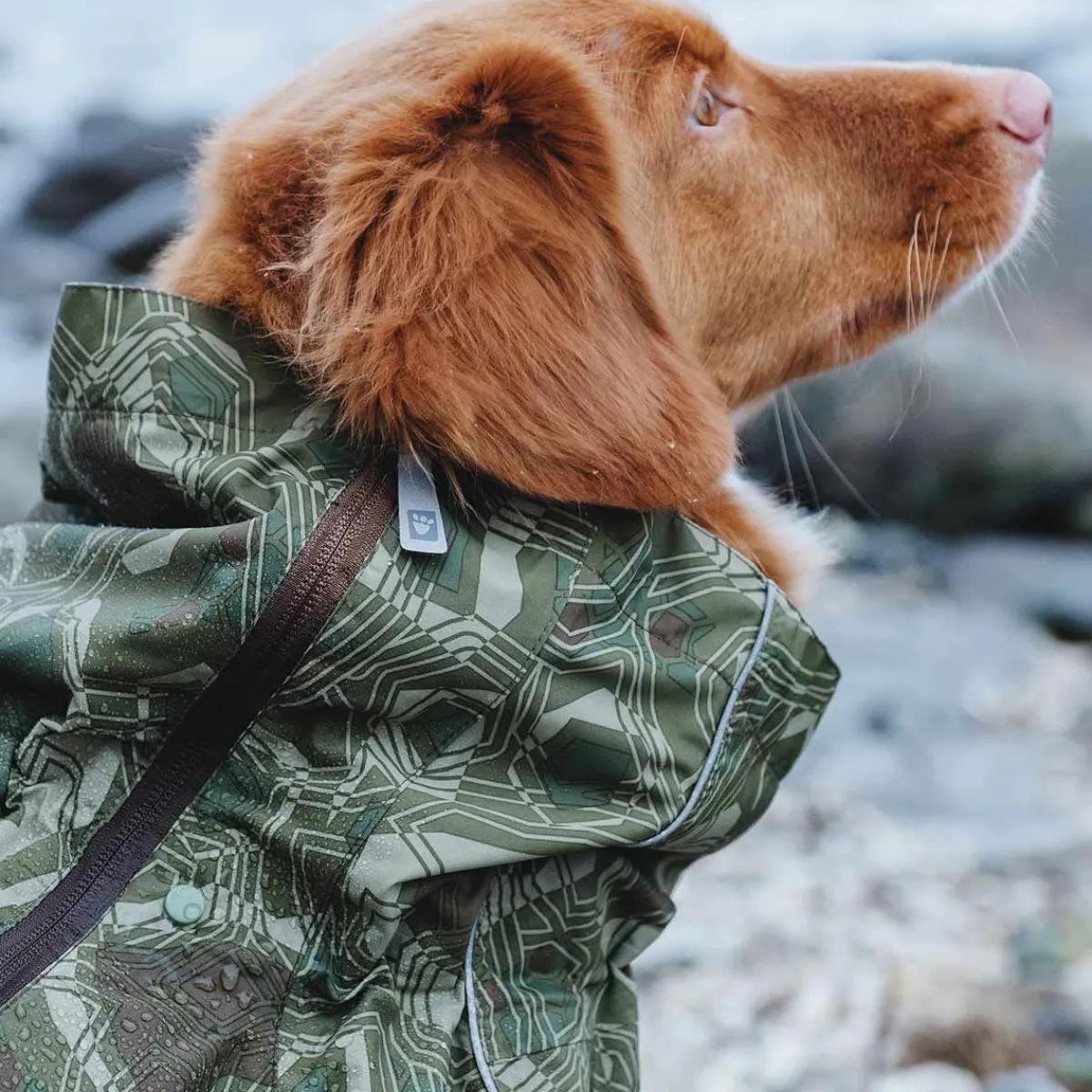 Downpour koiran sadehaalari camo>Hurtta Online