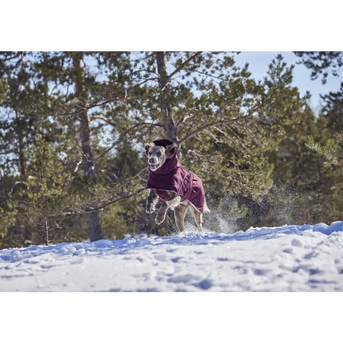 Extreme Warmer III ECO talviparka, munakoiso>Hurtta Discount