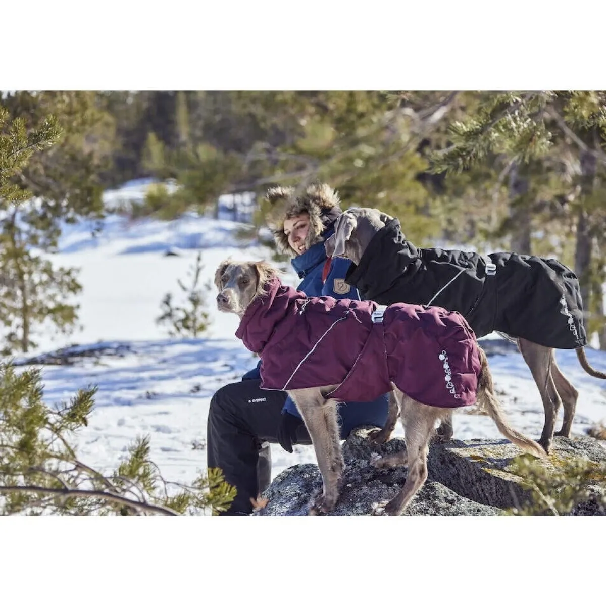 Extreme Warmer III ECO talviparka, munakoiso>Hurtta Discount
