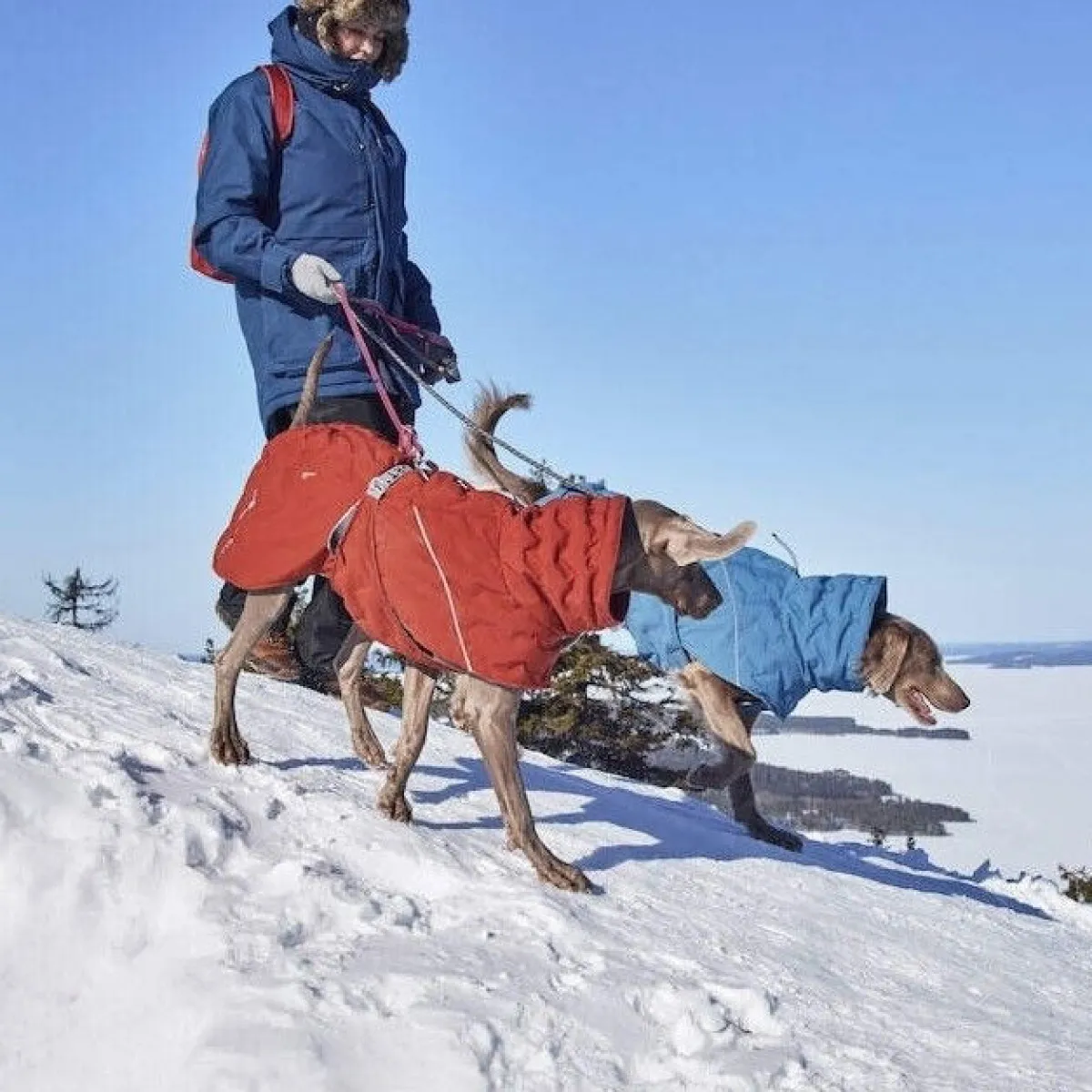 Extreme Warmer III ECO koiran lämpötakki, kaneli>Hurtta New