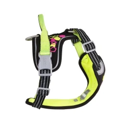 Weekend Warrior Neon-valjaat, lakritsi>Hurtta New