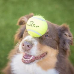 Tennispallot 4 kpl>Hyper Pet Outlet