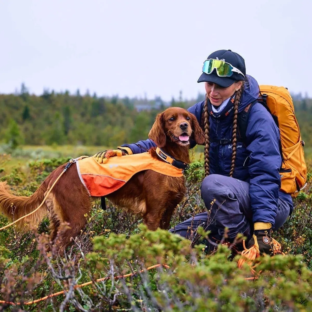 Jälkiliina koiralle Non-Stop Protector round 10 m>Non-stop dogwear Best