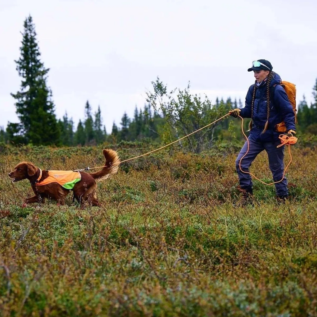 Jälkiliina koiralle Non-Stop Protector round 10 m>Non-stop dogwear Best