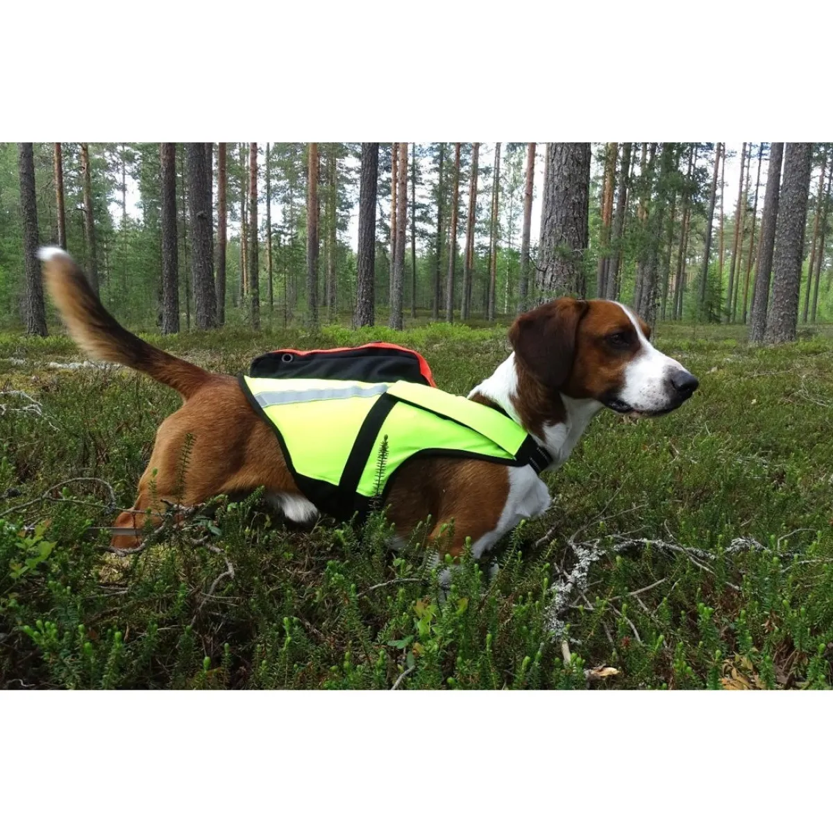 -kelluttava GPS-liivi Jehu>Kardog Online