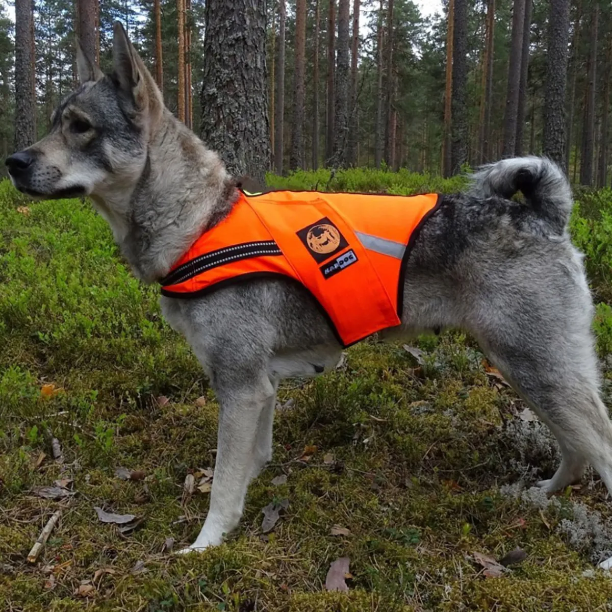 Kelluttava liivi Jeri,>Kardog Best