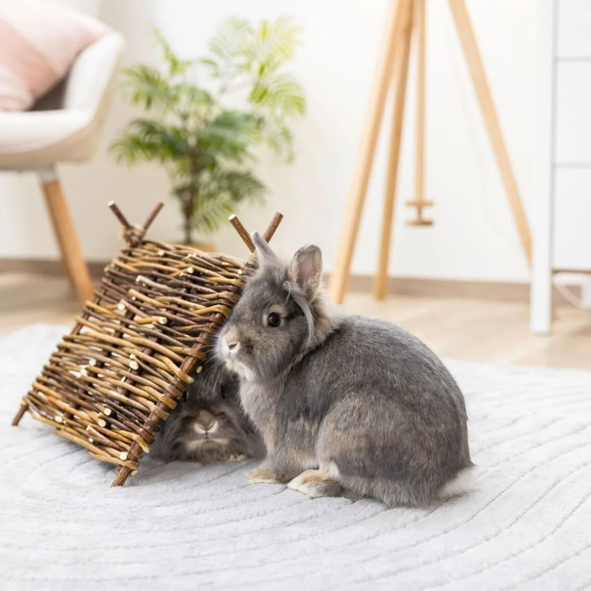 pieneläimen tiipii-teltta>Kerbl Online