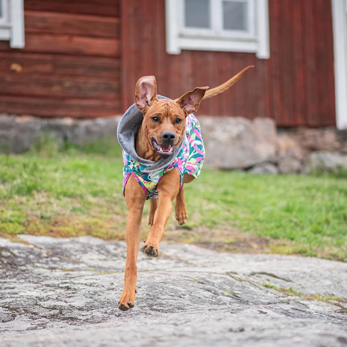 Kevyt valjasaukolla, Trail>Pomppa Discount
