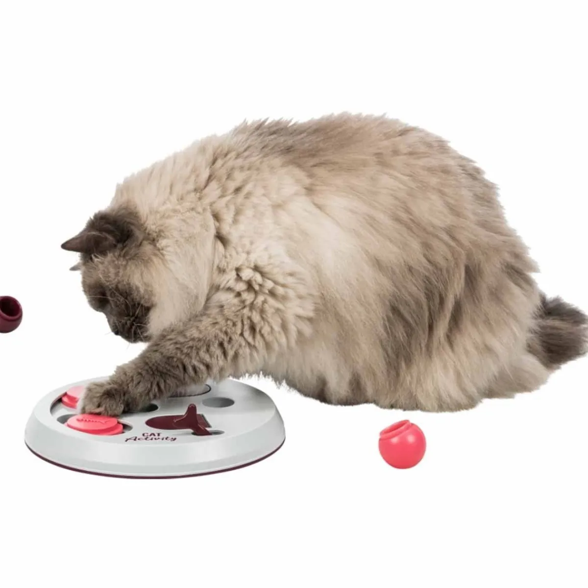 Kissan aktivointilelu Flip Board>Trixie