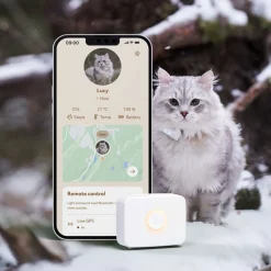 Kissan GPS>Lilcat Clearance