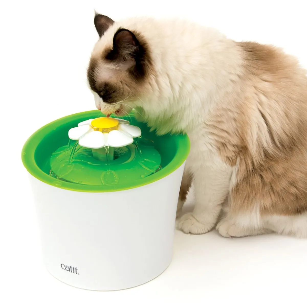 Kissan juoma-automaatti 2.0 Flower Fountain>Catit Outlet