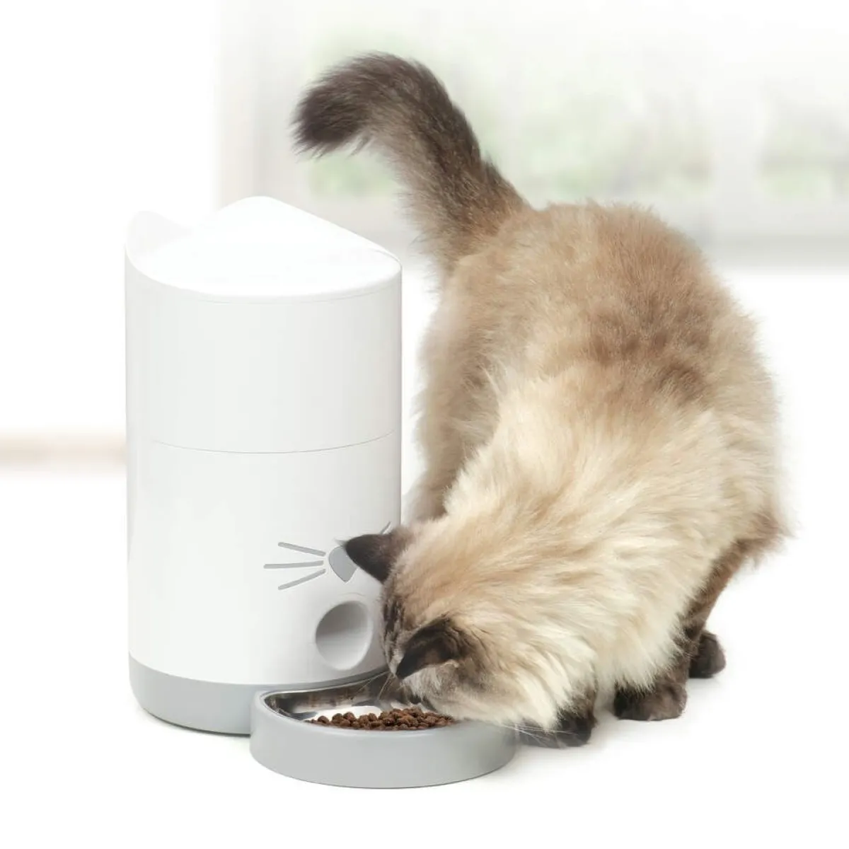 Kissan ruoka-automaatti Pixi>Catit Online
