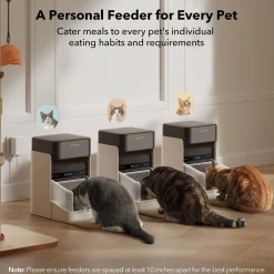 Kissan ruokinta-automaatti One RFID-lukijalla>Petlibro Discount