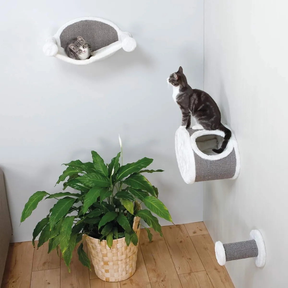 Kissan seinäaskelma Wall Mounting>Trixie Discount