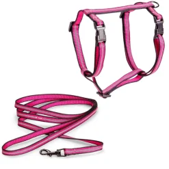 Kissan valjassetti Reflective>Basic Clearance