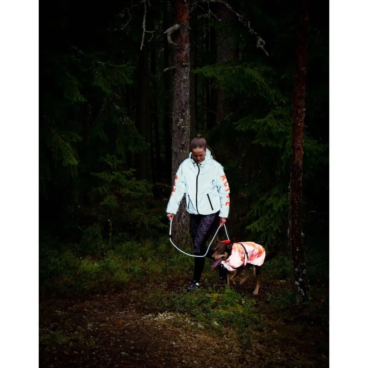 Koiran heijastava sadetakki Color, oranssi>Feel Active Discount