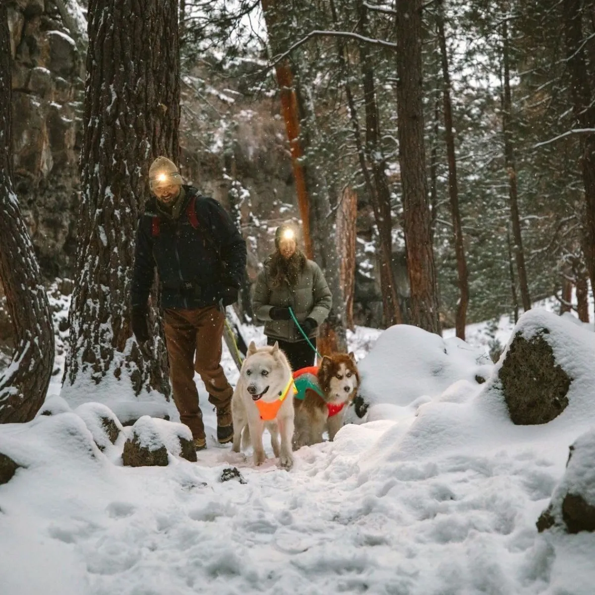 Koiran heijastintakki Lumenglow>RuffWear Outlet