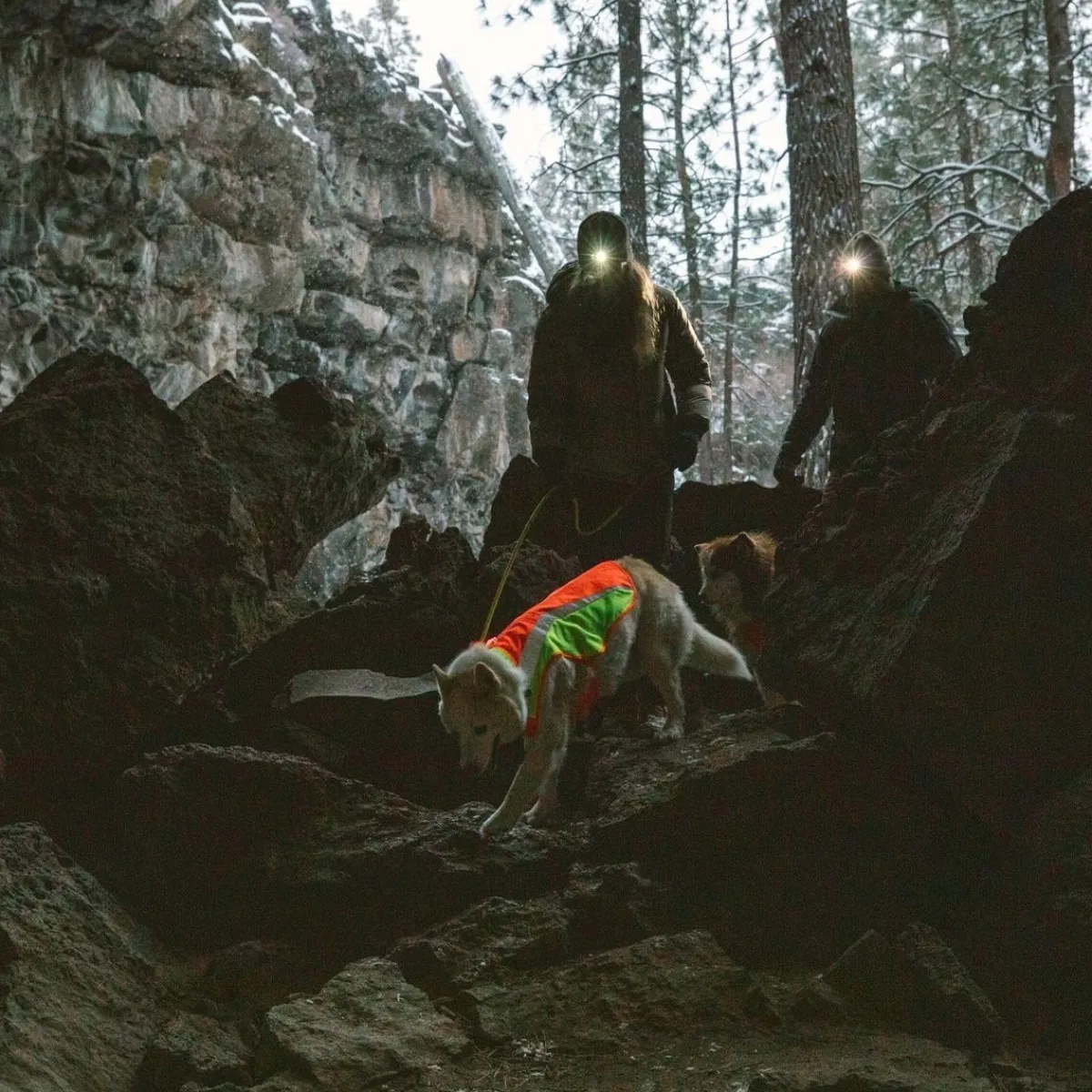 Koiran heijastintakki Lumenglow>RuffWear Outlet