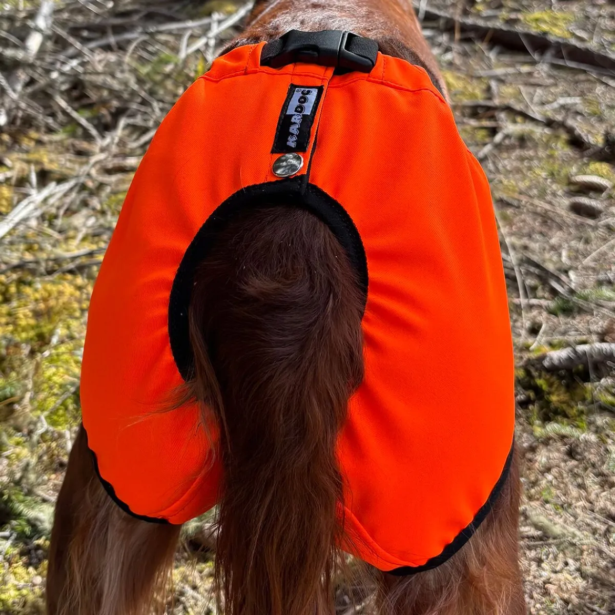 Koiran kivessuoja Kaapo,>Kardog New