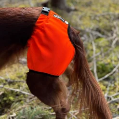 Koiran kivessuoja Kaapo,>Kardog New