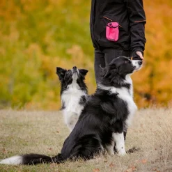 Koiran makupalapussi Treat>Pro Dog Online