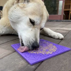Koiran nuolumatto bones>SodaPup Best