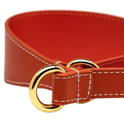 Koiran puolikiristävä panta , konjakki>Collar of Sweden Outlet